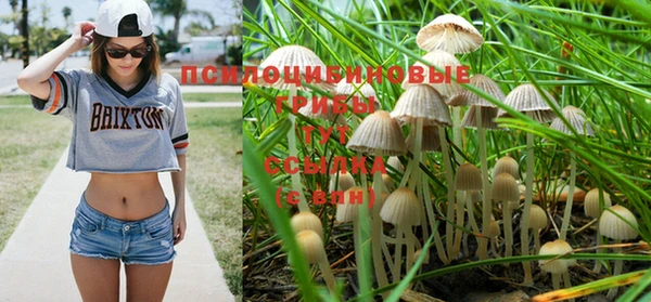меф Армянск