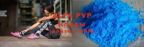 стаф Аркадак