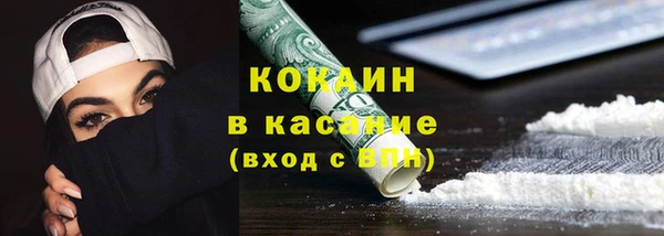 стаф Аркадак