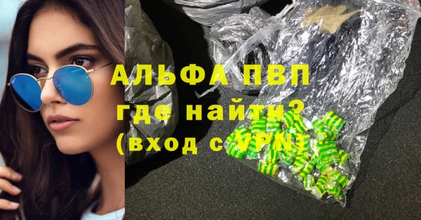 стаф Аркадак