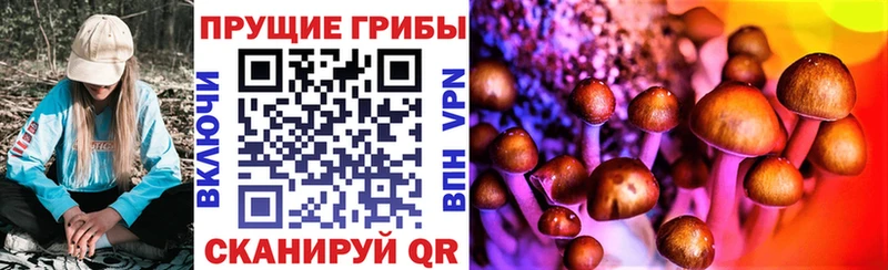 Псилоцибиновые грибы GOLDEN TEACHER  Купить где  Усть-Джегута 