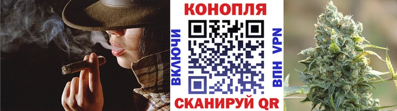 Каннабис сатива  Купить закладки  Усть-Джегута 